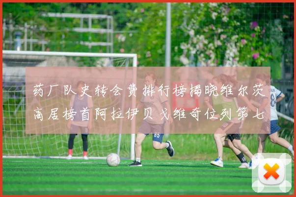药厂队史转会费排行榜揭晓维尔茨高居榜首阿拉伊贝戈维奇位列第七